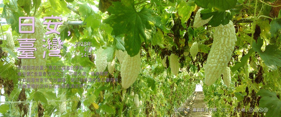 365 日安，臺灣之2018年4月14日